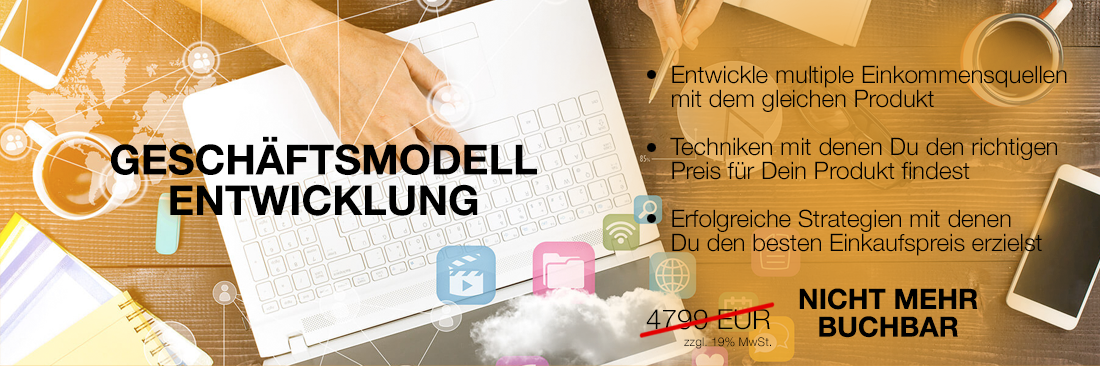 Geschäftsmodell Entwicklung